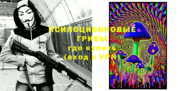 трава Надым