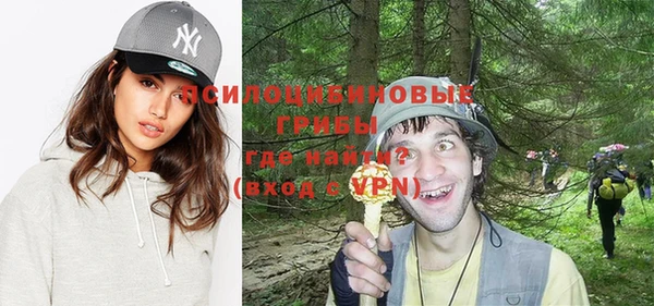трава Надым