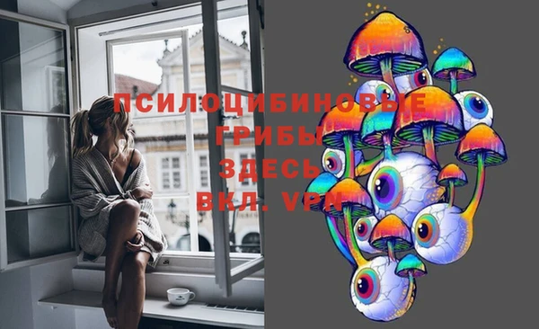 трава Надым