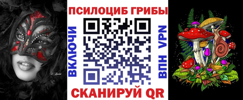 Галлюциногенные грибы Psilocybine cubensis  Сальск 